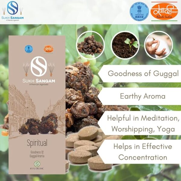 Sukh Sangam Guggal Incense Sticks / Agarbatti for Worship -100g - Image 3